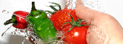 wdrażanie zasad systemu HACCP